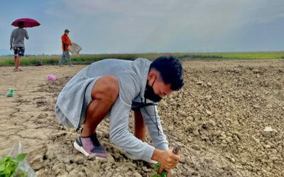 'Back to the roots’: Amarjit Singh uses the off-season to learn new things on family’s paddy farm