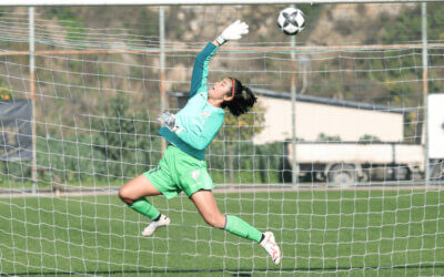 Down but never out, Panthoi determined to leave a mark Down Under